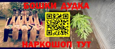 сатива Сланцы